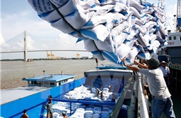 Giá gạo Việt Nam vượt trội Thái Lan, Ấn Độ nhờ ưu thế chất lượng